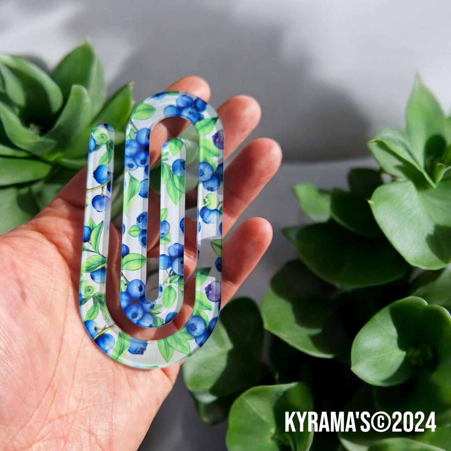 Blueberry paperclip